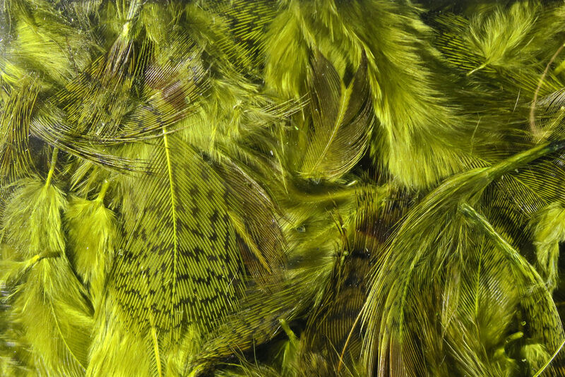 Premium Hungarian Partridge Feathers #263 Olive - Hareline Dubbin