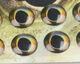 Preview image of product Fish Skull Living Eyes 10mm Earth (Golden Brown)