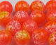 Preview image of product UV2 Fusion Egg Beads 8mm Clown Egg #500