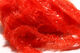 Preview image of product JBF Jellyblobfritz Chenille 15MM Fl Red #139