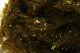 Preview image of product JBF Jellyblobfritz Chenille 15MM Sculpin Olive #337