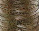 Preview image of product Lively Legs Crustacean Brush 1/2 inch Camo and Brown/Gold Bar
