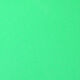 Preview image of product Thin Fly Foam 2mm #193 Insect Green