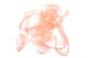 Preview image of product Scud Back 1/8 inch Shrimp Pink #343