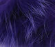 Preview image of product Arctic Fox Zonker #298 Purple