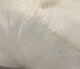 Preview image of product Arctic Fox Zonker #377 White