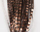 Preview image of product Boothe's Barred Matrix Fly Fiber Black Copper #1