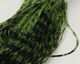 Preview image of product Barred & Speckled Crazy Legs #212 Light Olive 