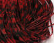 Preview image of product Barred & Speckled Crazy Legs #310 Red 