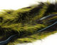 Preview image of product Barred Polychrome Rabbit Strips Black / Yellow Barred Chartreuse #1