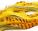 Preview image of product Barred Polychrome Rabbit Strips Yellow / Golden Orange Barred Black #10
