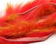 Preview image of product Barred Polychrome Rabbit Strips Bright Red / Yellow Barred Olive #2