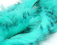 Preview image of product Barred Polychrome Rabbit Strips Turquoise / Blue Barred Black #7