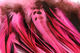 Preview image of product Badger Saddle Hackle 5-7" Hot Pink #188