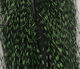 Preview image of product Micro Barred Voodoo Fibers #55 Black Barred Chartreuse Green