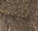 Preview image of product Coastal Deer Hair Dark #1