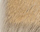 Preview image of product Coastal Deer Hair Medium #2