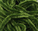 Preview image of product Chenille Fine Olive Green #267