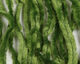 Preview image of product Chenille Large Olive Green #267