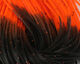 Preview image of product Crazy Legs Black/Fl Orange Tipped #10