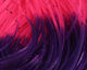 Preview image of product Crazy Legs Fl Fuchsia/Purple Tipped #131