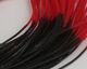 Preview image of product Crazy Legs Black/Red Tipped #16