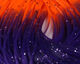 Preview image of product Crazy Legs Purple/Fl Orange Tipped #297