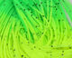 Preview image of product Crazy Legs Yellow Chart./Green Chartreuse Tipped #385