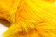 Preview image of product Deer Belly Hair Dyed From White Sunburst Yellow #367
