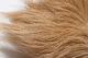 Preview image of product Deer Belly Hair Dyed From White Tan #369