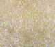 Preview image of product UV2 Diamond Brite Dubbing Pearl Tan