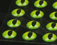 Preview image of product Dragon Eyes 4mm Oceanic Green