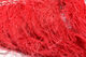 Preview image of product Dyed Over White Peacock Herl Fl Red #139