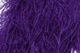 Preview image of product Dyed Over White Peacock Herl Purple #298