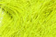 Preview image of product Dyed Over White Peacock Herl Chartreuse #54