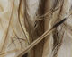 Preview image of product Emu Feathers Nat. Tan/grey #012