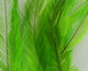 Preview image of product Emu Feathers Insect Green #043
