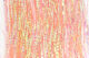 Preview image of product Dyed Mirage Lateral Scale 1/69 inch Orange #1747