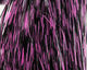 Preview image of product Grizzly Barred Flashabou Fl Pink Black#7102