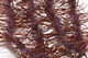 Preview image of product Large Flexi Squishenille Dark Brown #87