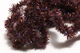 Preview image of product Small Flexi Squishenille Dark Brown #87