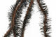 Preview image of product Fly Stubble Chenille Brown #40