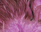 Preview image of product Flat Wing Saddles #298 UV2 Pastel Purple