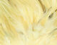 Preview image of product Flat Wing Saddles #383 UV2 Pastel Yellow