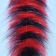 Preview image of product EP Sommerlatte's Grizzly Foxy Brush 3 Inch Wide Black/Red