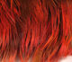 Preview image of product Golden Pheasant Body Feathers Fl Orange #137