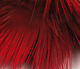 Preview image of product Golden Pheasant Body Feathers Fl Red #139