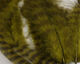 Preview image of product Grizzly Soft Hackle Olive #263