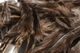 Preview image of product Hen Phesant Body Soft Hackle Gray #165