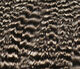 Preview image of product Hareline Hen Cape #176 Grizzly Natural